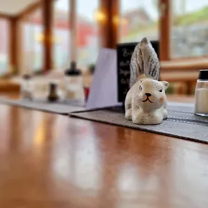 https://hotel-ferien-vom-ich.com-bavaria.com